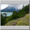 Torres del Paine - Wanderung vom Campingplatz Pehoé zum Aussichtspunkt Mirador Condor, Blick auf die Cuernos und den Lago Pehoé