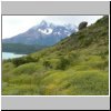 Torres del Paine - Wanderung vom Campingplatz Pehoé zum Aussichtspunkt Mirador Condor, Blick auf die Cuernos und den Lago Pehoé