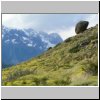 Torres del Paine - Wanderung vom Campingplatz Pehoé zum Aussichtspunkt Mirador Condor