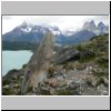 Torres del Paine - Blick vom Aussichtspunkt Mirador Condor auf den Lago Pehoé und die Cuernos