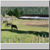 unterwegs auf der Carretera Austral zwischen Puerto Aisen und Puyuhuapi, kleiner Ort Manihuales, im Hintergrund eine Rodeo-Arena