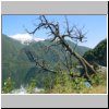 unterwegs auf der Carretera Austral zwischen Puerto Aisen und Puyuhuapi, Landschaft am Lago Torres