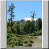 unterwegs auf der Carretera Austral zwischen Puerto Aisen und Puyuhuapi, Landschaft bei einem Zwischenstopp