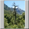 unterwegs auf der Carretera Austral zwischen Puerto Aisen und Puyuhuapi, Landschaft bei einem Zwischenstopp