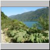 unterwegs auf der Carretera Austral bei Puyuhuapi, am Ufer eines Pazifikfjordes