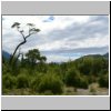 unterwegs auf der Carretera Austral zwischen Puyuhuapi und Chaiten - Landschaft am Rio Yelcho