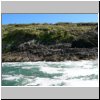 Insel Chiloé - Pinguinera Islotes de Puihuil, Pinguine auf den Inseln vor der Küste