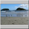 Insel Chiloé - Möwen am Strand bei der Pinguinera Islotes de Puihuil