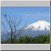 unterwegs nach Pucon  Blick auf den Vulkan Villarrica