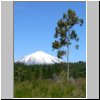 unterwegs nach Pucon  Blick auf den Vulkan Villarrica
