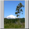 unterwegs nach Pucon  Blick auf den Vulkan Villarrica