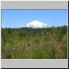 unterwegs nach Pucon  Blick auf den Vulkan Villarrica