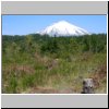 unterwegs nach Pucon  Blick auf den Vulkan Villarrica