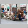 Temuco  auf dem Obst- und Gemüsemarkt