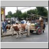 Temuco  auf dem Obst- und Gemüsemarkt