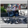 Santiago de Chile  Tauben auf der Plaza de Armas