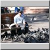 Santiago de Chile  Tauben auf der Plaza de Armas