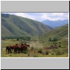typische Landschaft, Alai-Gebirge, Kirgisistan