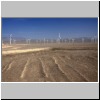 ein Windpark auf dem Weg nach Urumchi