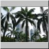 Palmen und die Skyline des Central Business Districts