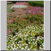 Sentosa-Insel - Blumen in Fountain Gardens