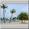 Sentosa Island - Palmen auf dem Siloso Beach
