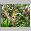 Jurong Bird Bark - Papageien am Eingang zum Vogelpark