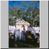 Anuradhapura - der heilige Bo-Baum Sri Maha Bodhi - der älteste dokumentierte Baum der Welt (2250 Jahre) und heiligste Ort der Insel