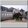 Kandy - ein Elefant vor dem Zahntempel