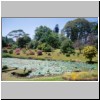 Peradeniya - der botanische Garten, ein Teich in Form der Insel Ceylon, dahinter blühende Sträuche
