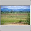 Udawalawe Nationalpark - typische Landschaft, im Hintergrund Bergketten im Norden