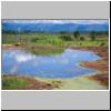 Udawalawe Nationalpark - ein Wassertümpel, im Hintergrund Bergketten im Norden