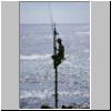 Weligama - Stelzenfischer