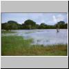 Yala West Nationalpark - typische Landschaft (kleiner See)