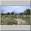 Yala West Nationalpark - Elefanten