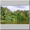 Hinterland von Bentota - Flußlandschaft am Bentota-Fluß