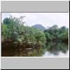 Bentota-Flußfahrt - ein Nebenarm des Flusses, Blick auf den sog. Little Adams Peak