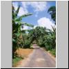 Straße durch das Dorf Galatara am Fuß des Little Adams Peak am mittleren Lauf des Bentota-Flusses