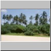 Bentota - Palmen am Strand