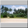 Bentota - Palmen am Strand