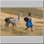 in der Nähe der Ruinen von Tambo Machay, Peru