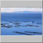 Fischernetze im Titicaca-See unweit der Grenze nach Bolivien