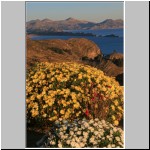 Blick auf die Isla del Sol, den Titicaca-See und das Gebirge im Hintergrund