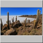 Kakteeninsel Incahuasi, Salar de Uyuni, Bolivien