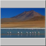 Laguna Canapa, Altiplano, Bolivien