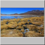 Laguna Canapa, Altiplano, Bolivien