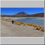 Laguna Hedionda, Altiplano, Bolivien