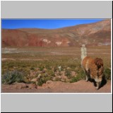 Landschaft in der Atacama-Wüste, Chile