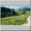 Unterwegs von Kuznice zum Berg Giewont - im Tal Dolina Kondratowa auf der Alm Hala Kondratowa in der Nähe der Schutzhütte (nicht im Bild), hinten rechts der Gipfel von Kopa Kondracka (2005 m) ? (Blick nach Süden)
