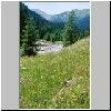 Tal Dolina Chocholowska - am Anfang der Polana Chocholowska, blühende Wiese und der Bach "Chocholowski Potok"